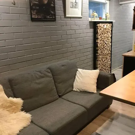 Tunnelmallinen Ja Kompakti Kaksio Apartament *