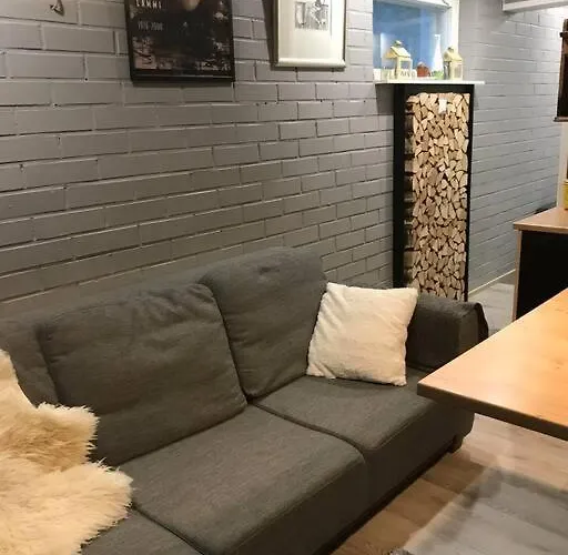 Tunnelmallinen Ja Kompakti Kaksio 公寓 *